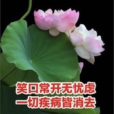 小飞飞的三百两