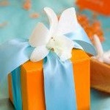 gardenia3211