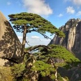 治愈系恋人