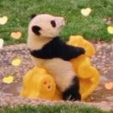 不可以哇哈哈