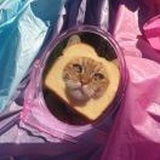 一小只鹿