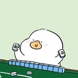 炖鸭汤