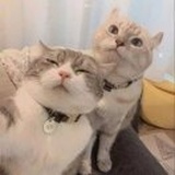 小雨小雨