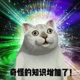 炒菜不放辣