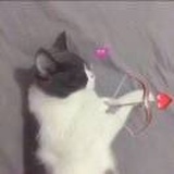 小甜甜