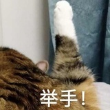 安安