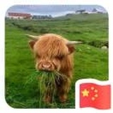 可