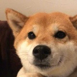 豆友209323864