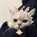 奶啤超飒