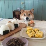 最近想变成鲸