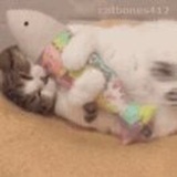 疏疏