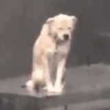 心平气和