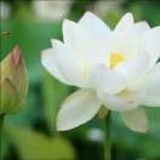 沐阳