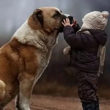 明月何时照清风