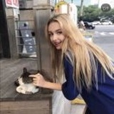 曲歌
