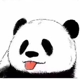 小熊猫