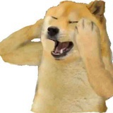 湖岁