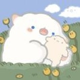 13楼的大笨象