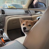 哆来咪