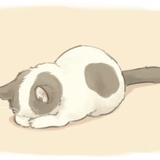 🌼🐱🐰🌼
