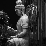 仲肥