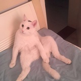 美少女