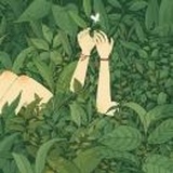 朵
