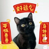 就吃蛋清