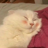 下雪了