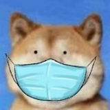 吞吞吐吐ddd
