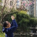 恳谈李心经