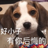 别烦👊
