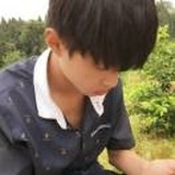 郑毅