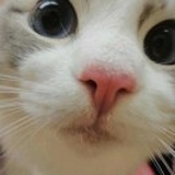 小苏打