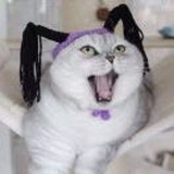 小仙鱼
