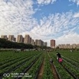 YC_成