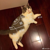 达