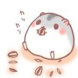 星晨日落