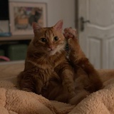 Kiki
