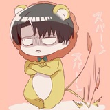 帝都花美男