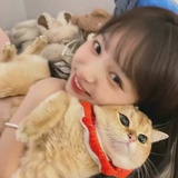 肥猫XXX
