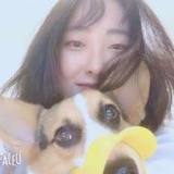 存不住钱的笨蛋
