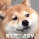 胖尼玛啊胖