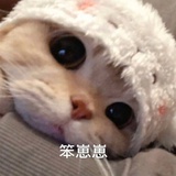 西子酱