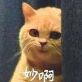 王磊