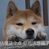 豆友豆友