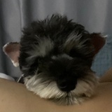 向天再借五百年