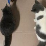 一支上上签