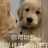 最爱的是你