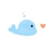 孤独的海豚🐬